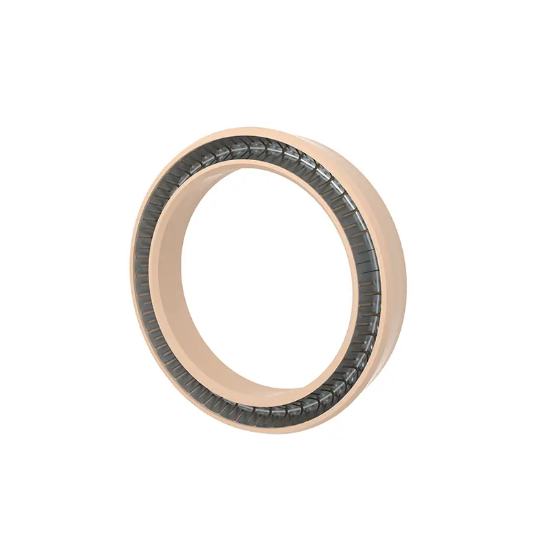 End Flange Spring Energized Seals End Flange Spring Energized Seals