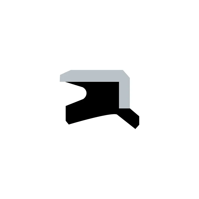 Hydraulic Dust Seals Hydraulic Dust Seals