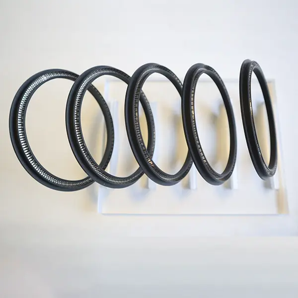 Rotary Spring Energized Seals
