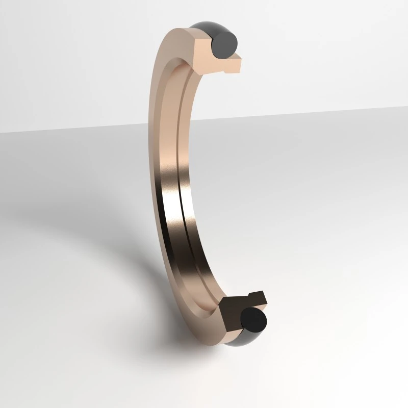 Dust Seal Turning Seals