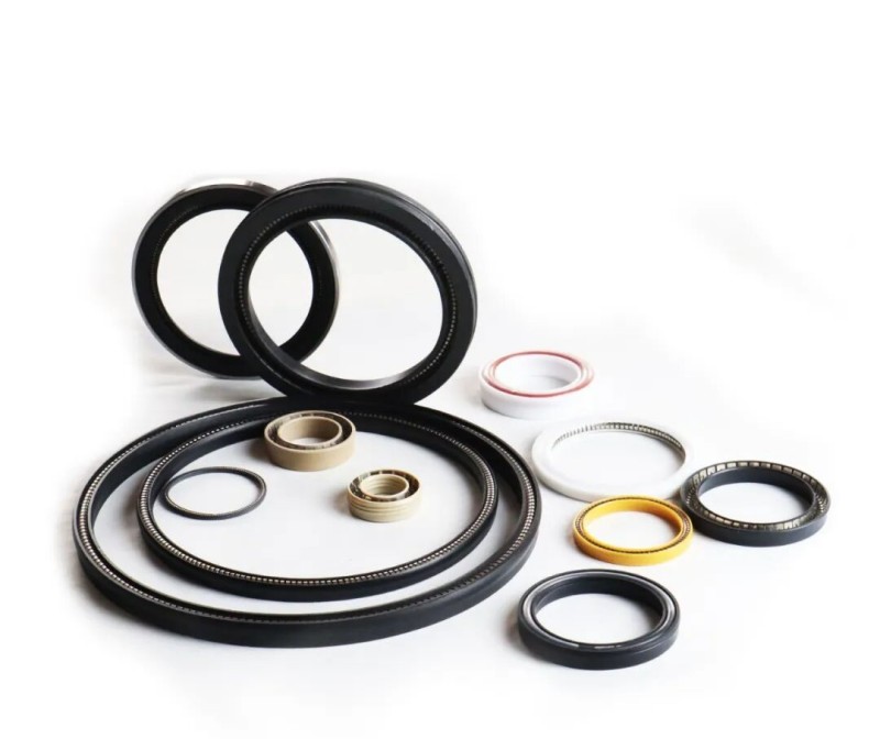 Spring-Energized Seal