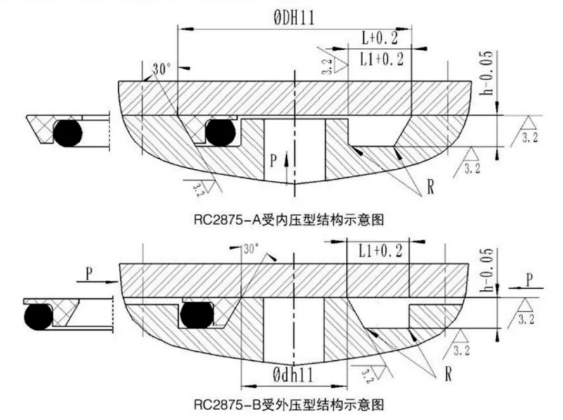 Axial Foot Type Combined Seal